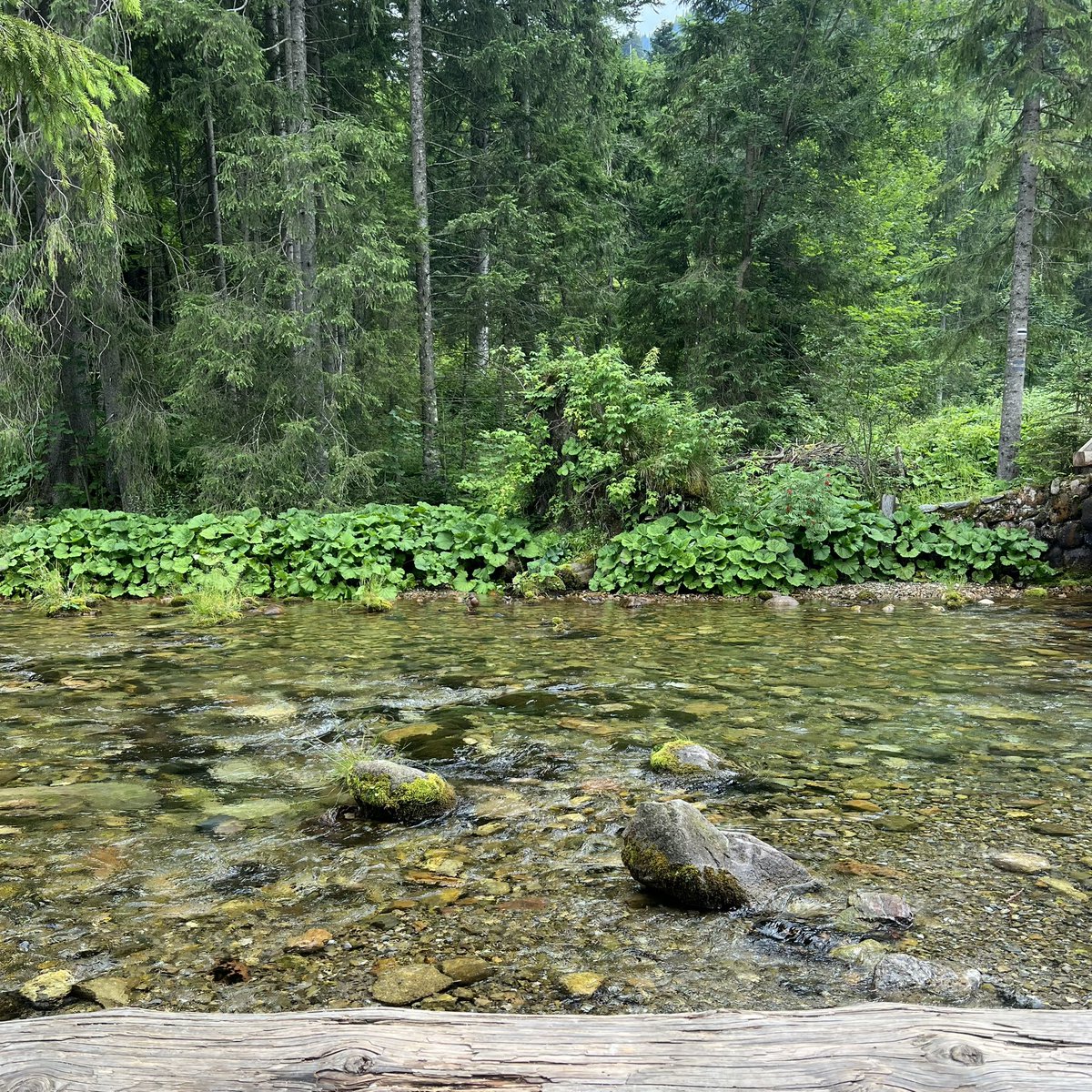 إيثار الرّشيد Eythar tweet media