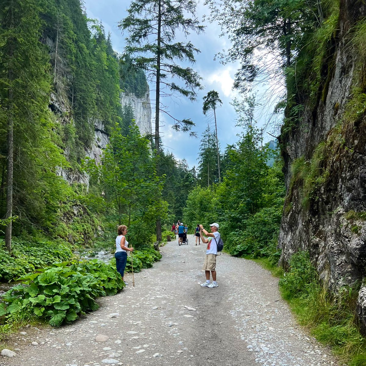 إيثار الرّشيد Eythar tweet media