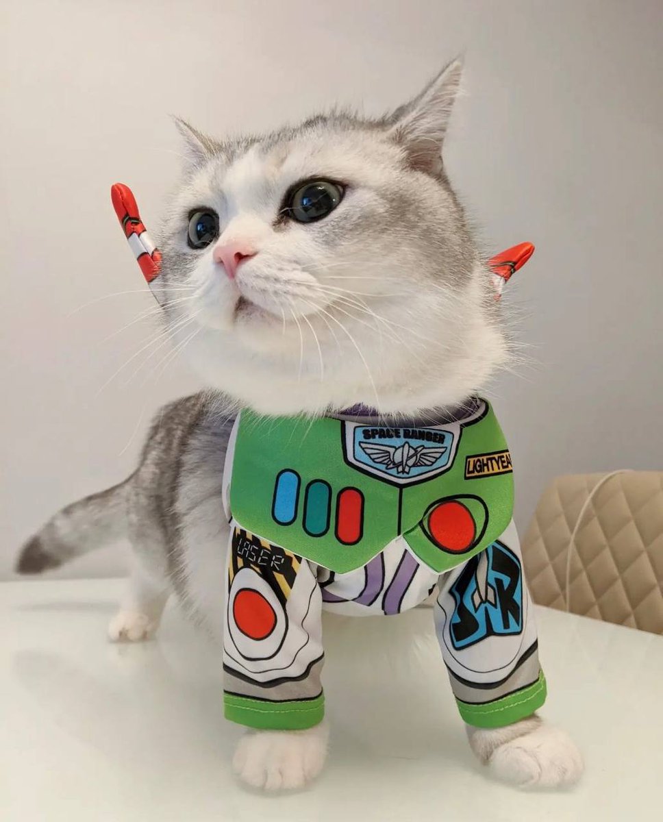 to the mewn, and beyond!

$FOMO is ready for liftoff 🚀