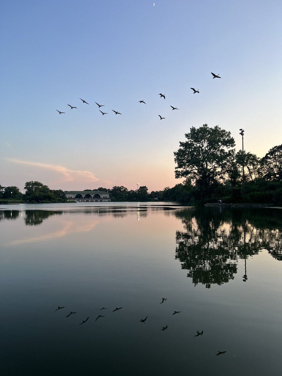 went for a walk yesterday