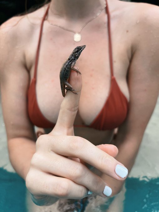 All good things 🦎 https://t.co/Dj7iiMf0OJ