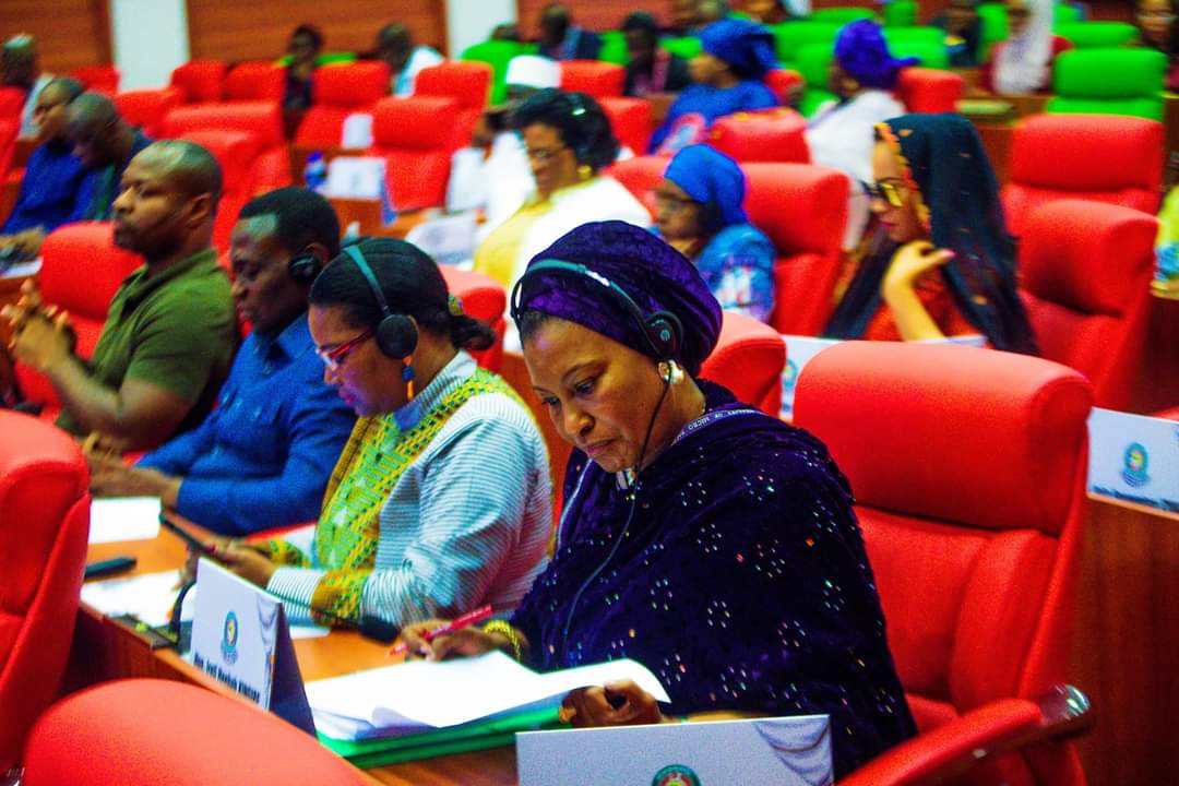 Sen. Ireti Kingibe tweet media