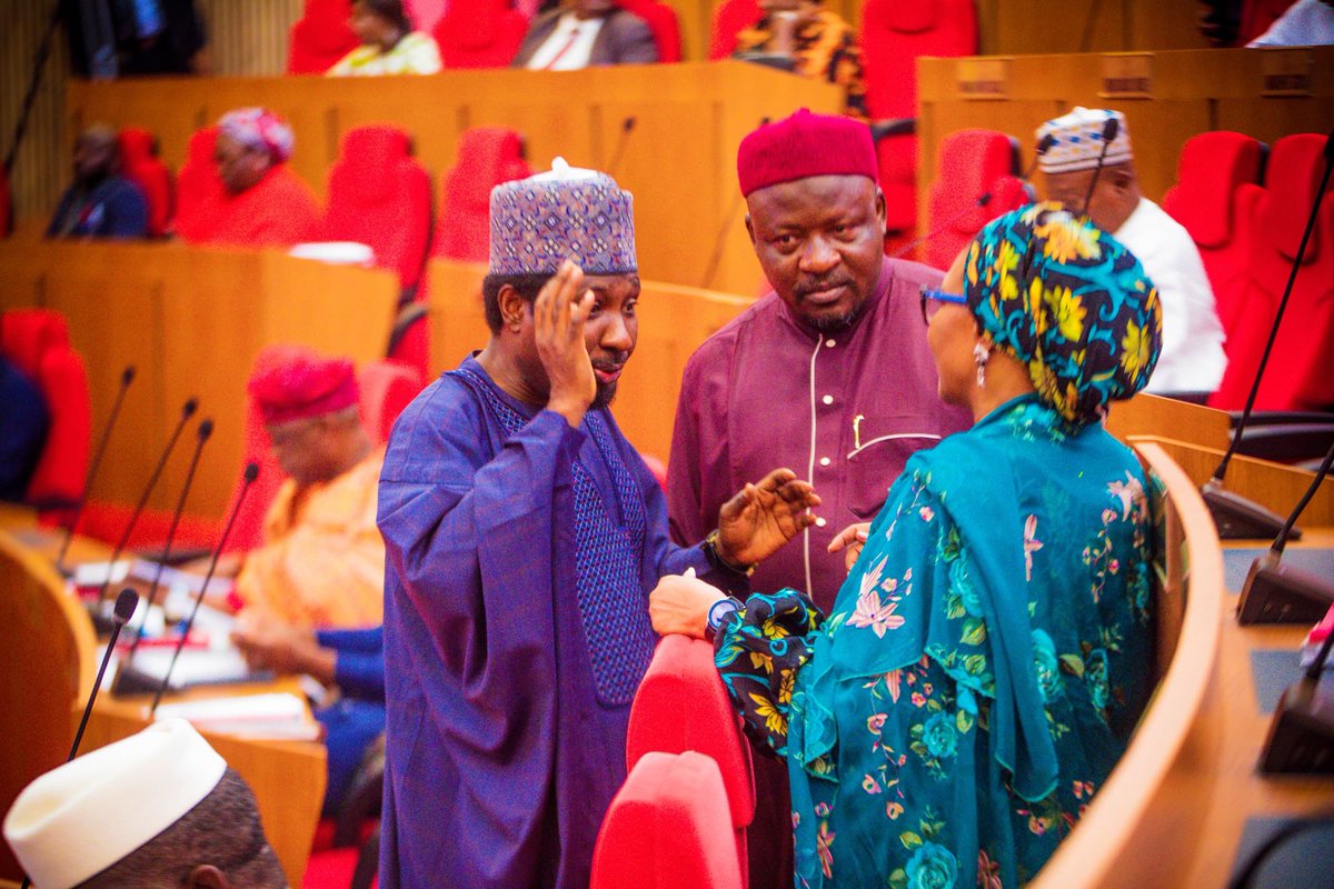 Sen. Ireti Kingibe tweet media
