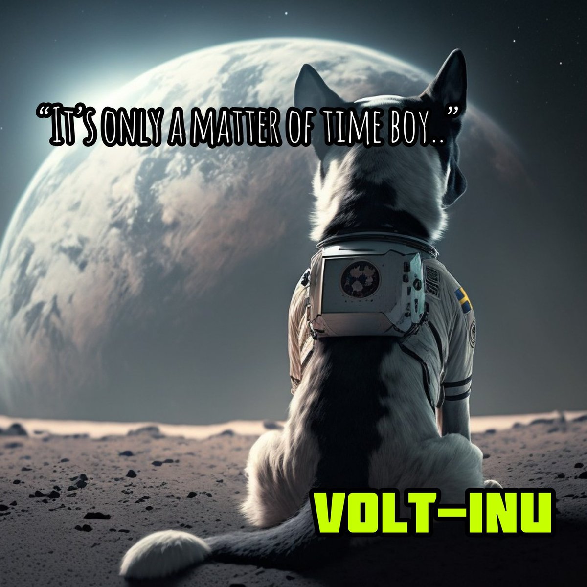 NefteeJ's tweet photo. @cryptoworld202 #VOLTINU #VOLTICHANGE #VOLTISOFT #VOLTIECO #VOLT #Voltiflex #Voltipay #VDSC $VOLT #Memecoin https://t.co/uGuYPEqMIy