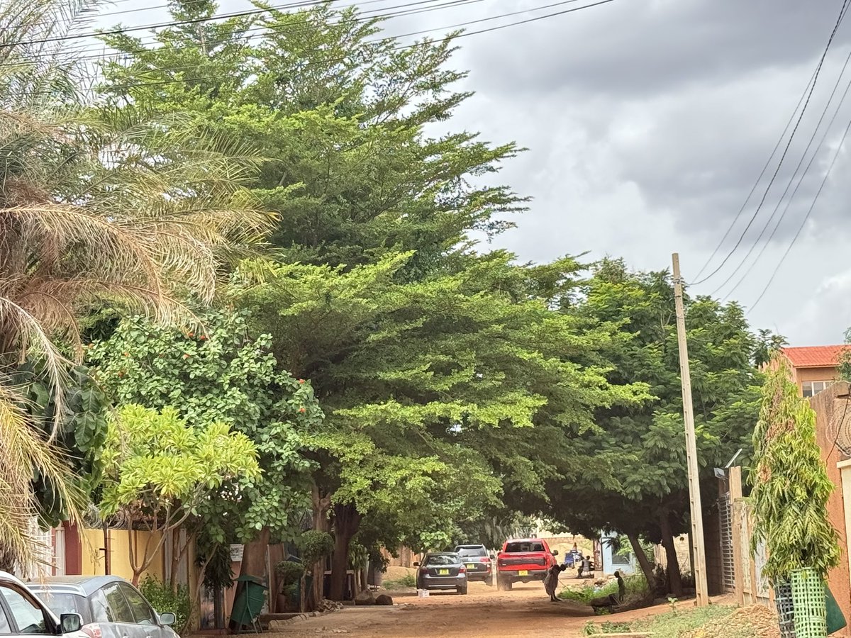 MdiOuedraogo's tweet photo. Vu à #Ouaga2000 au #BurkinaFaso . Ici il y a des gens vraiment attachés à l’#environnement. Félicitations aux habitants du quartier qui nous font grâce d’une belle verdure et de l’ombre. 
J’ai vu une belle cour avec une belle forêt à l’extérieur et à l’intérieur. Bravo simplement https://t.co/IXBOhQ4Eov