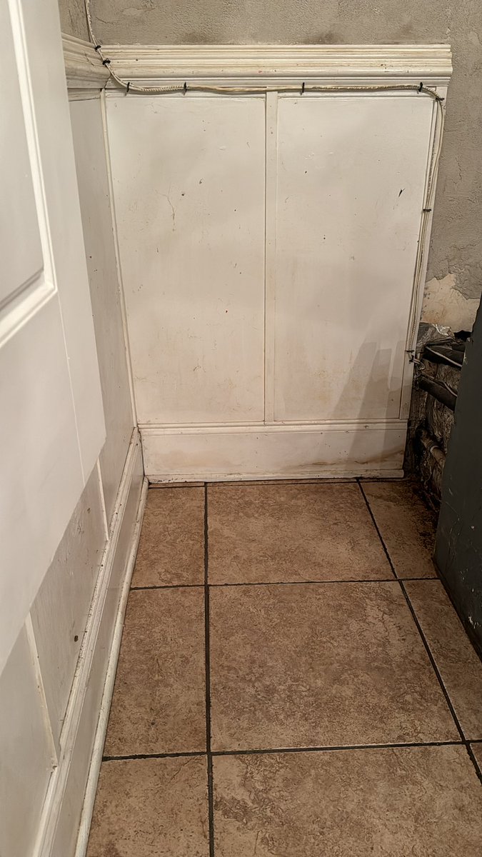 MrsPealo's tweet photo. Ya’ll, I am so pumped to learn and present at #CSTA24 next week! Before I get into “Vegas mode,” however, I have to power through “frazzled new homeowner” mode…spending the day scrubbing a particularly stinky area of the new house before I can feel comfortable moving in! https://t.co/7fJejPNnoa