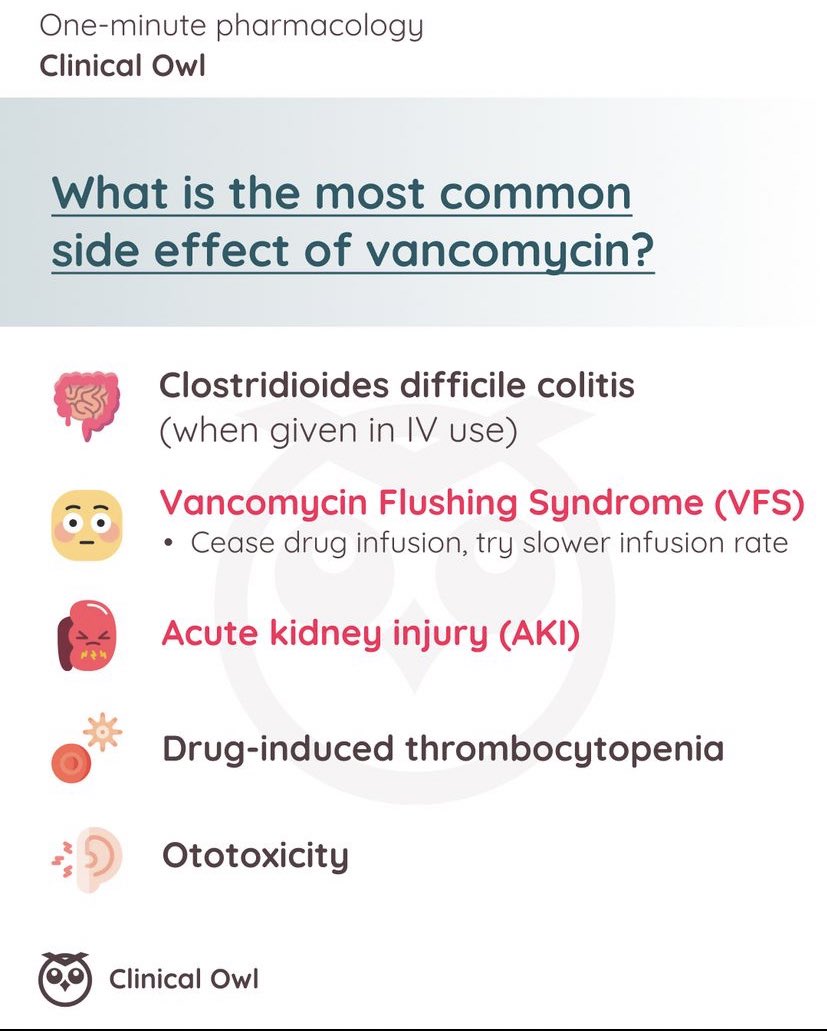 Lama Alghamdi tweet media