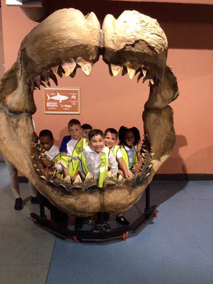 Stm_GW's tweet photo. We enjoyed seeing lots of different kind of fish, some sharks, snakes, tortoises and frogs today! https://t.co/HLBNn6mWAi