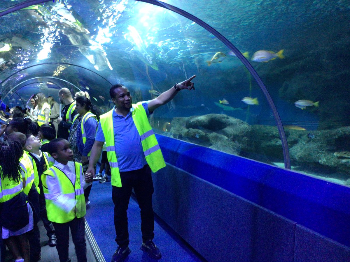 Stm_GW's tweet photo. We enjoyed seeing lots of different kind of fish, some sharks, snakes, tortoises and frogs today! https://t.co/HLBNn6mWAi
