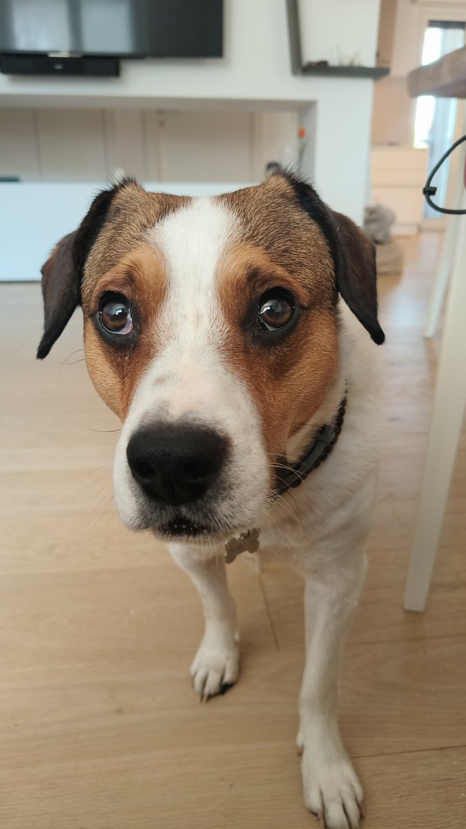 No ma fatti pure un pianterello per elemosinare la cena.
Come se fossi mai rimasto senza cibo.