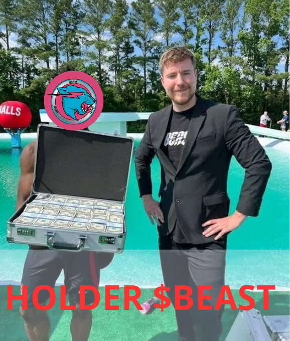 MrBeast tweet media