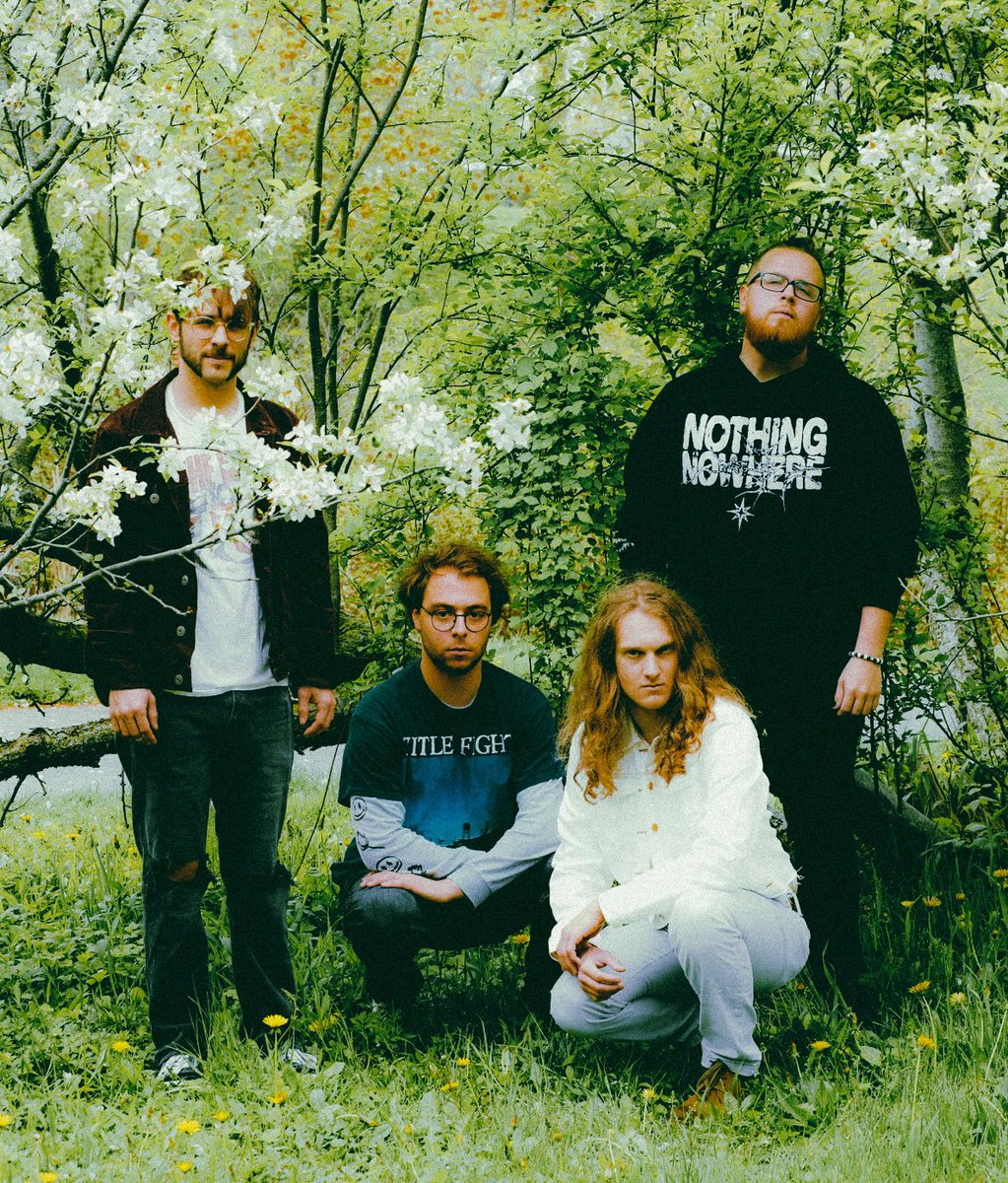 Ashford • DEBUT LP OUT NOW tweet media