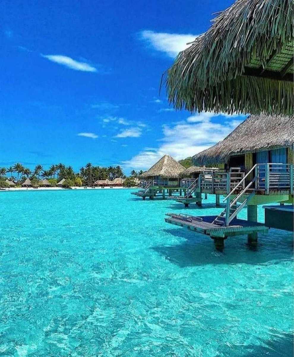 viewsoff's tweet photo. Paradise in Bora Bora. https://t.co/JthgUY84yq