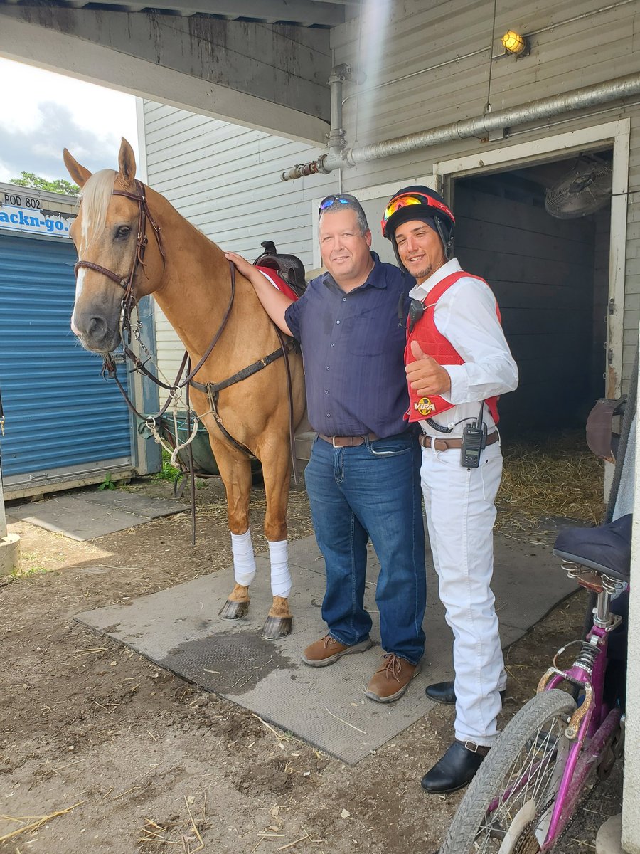 Kings Point Stables tweet media