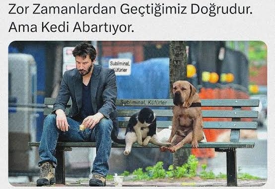 saban_krtx's tweet photo. https://t.co/Jb3XWigsxB