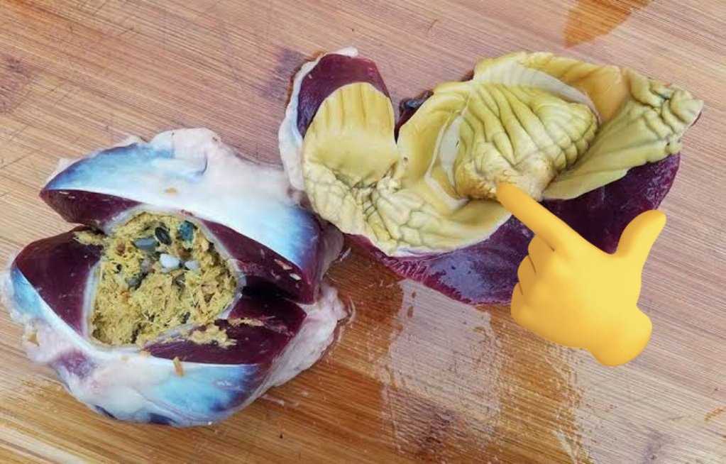 SabzerAzoh's tweet photo. If the child is crying, can't eat food, and is vomiting at the same time, you need to take the yellow skin extract from chicken gizzards. The skin extract is removed from the gizzards and sun-dried. After that, it is crushed into a fine powder and sprinkled over a child's food... https://t.co/RL3k0yq9ZN