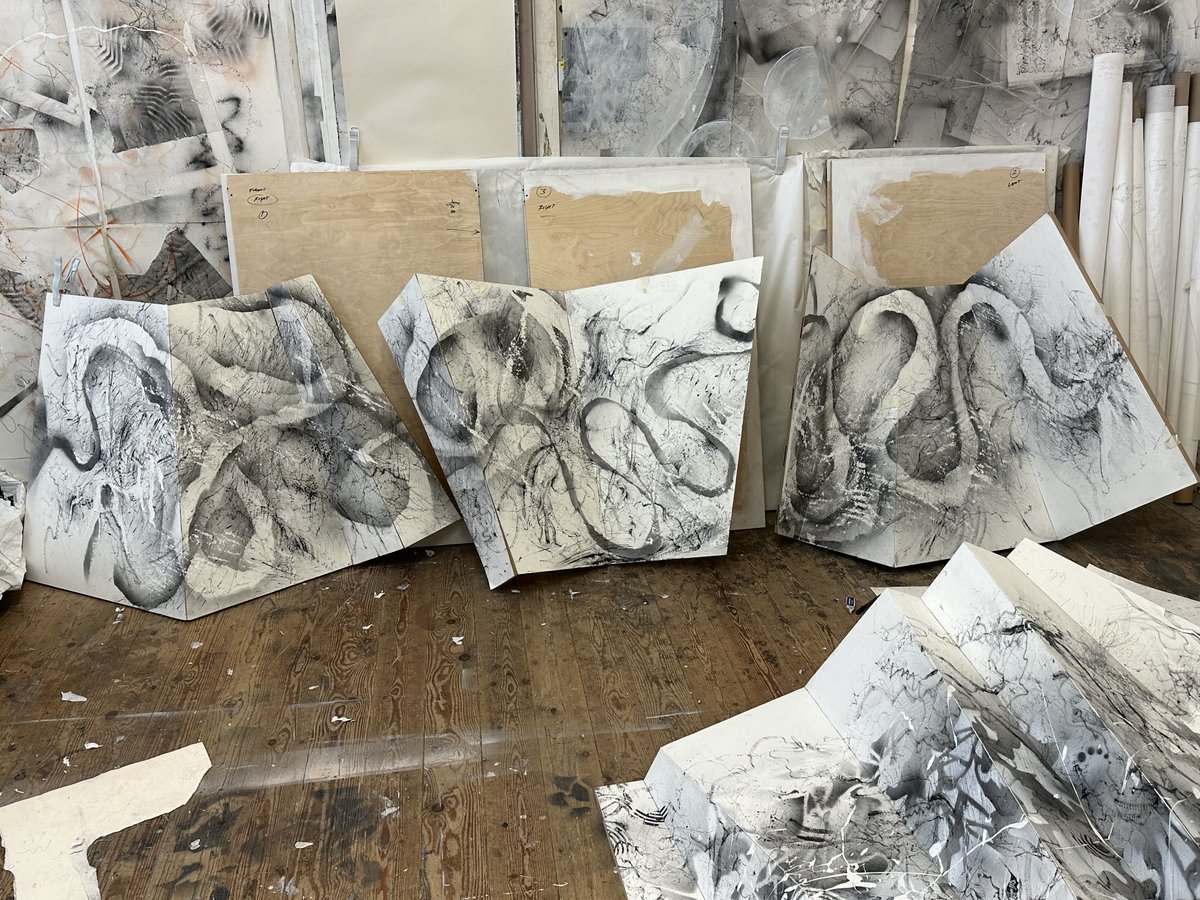 In full production completing the drawings on the folded 3-D forms! Huge thanks to Jon Hollingsworth of @studio_104_ltd for the use of part of his workshop for final tweaks!! coming to the Hive Gallery in Birmingham in October!! #feeneyfellow  #pkfgrantee    <a href="/SMQB_UoB/">Systems Modelling & Quantitative Biomedicine</a>