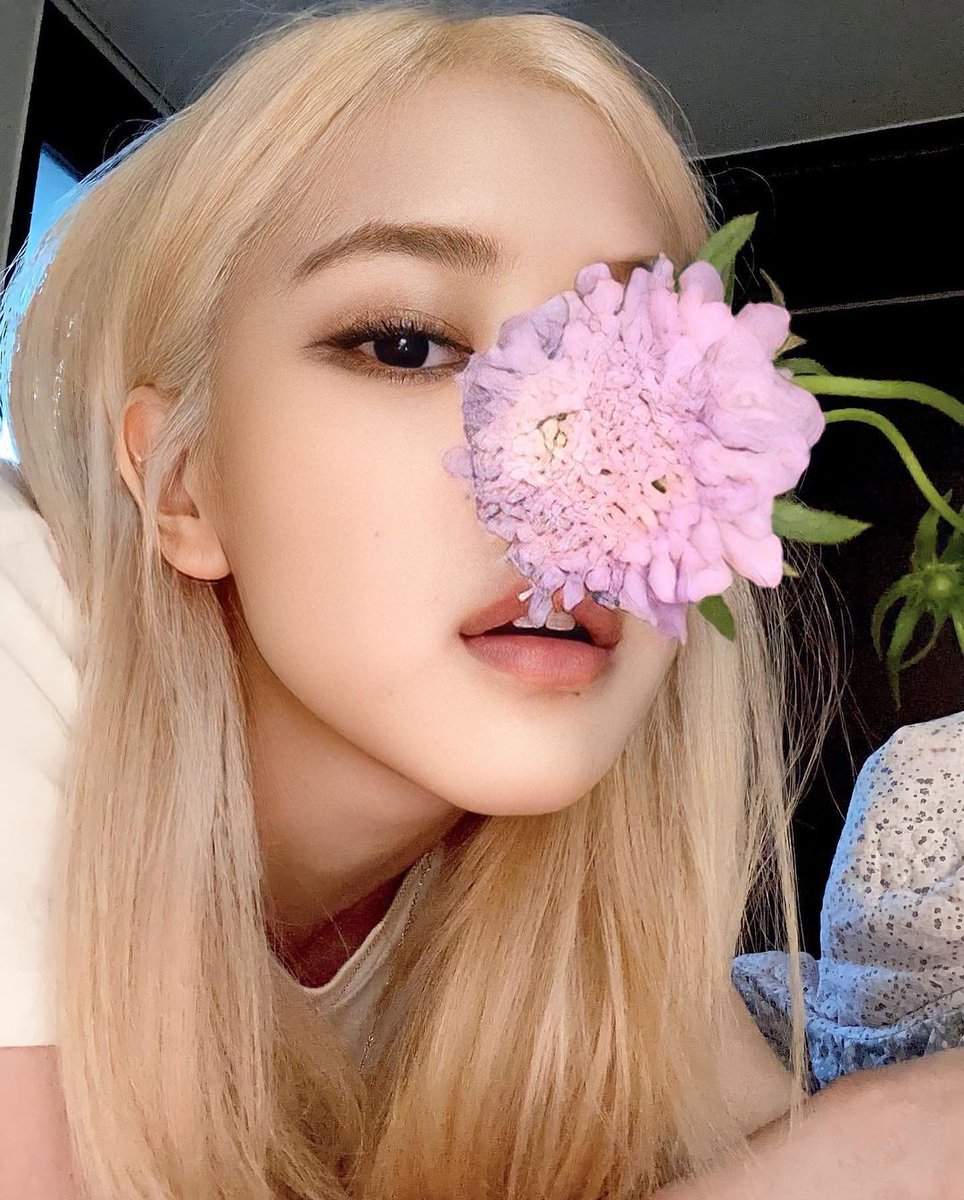 RosieJuxtaPosie's tweet photo. Roseanne Park https://t.co/2jFlmjsfsz