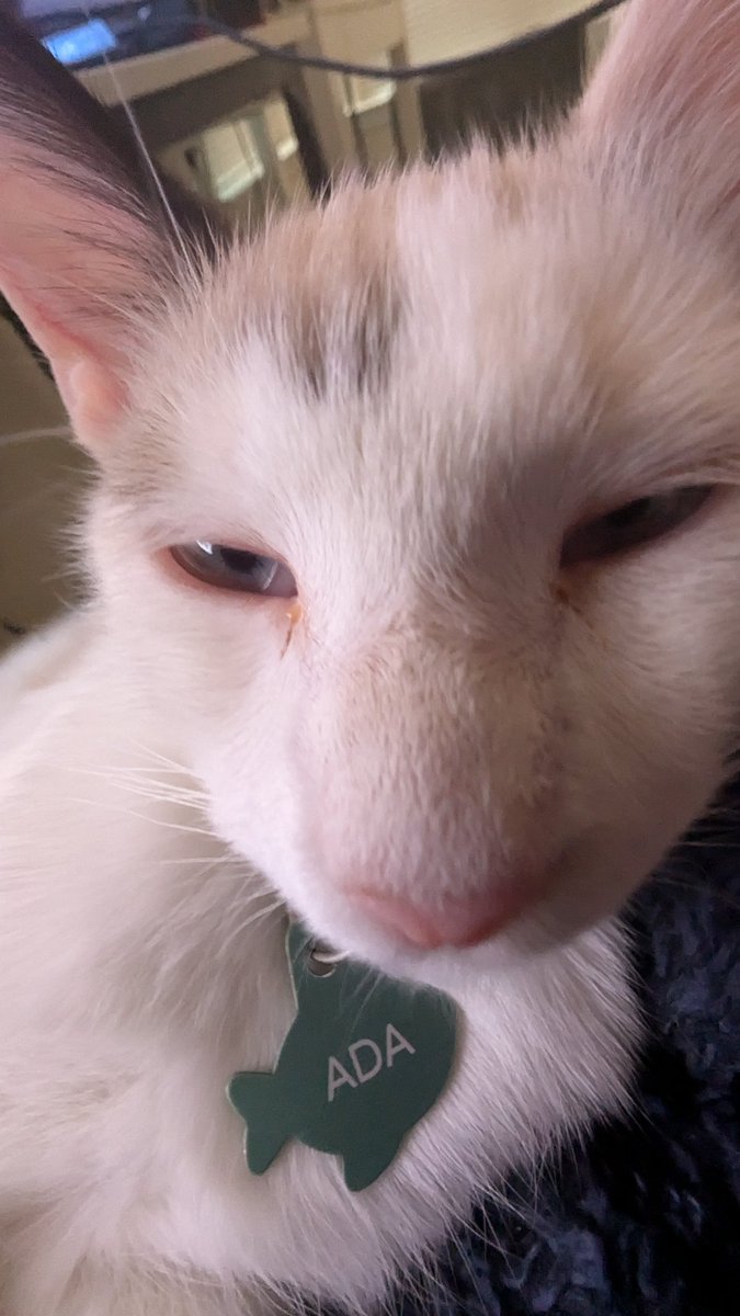 Crimson 3D tweet media