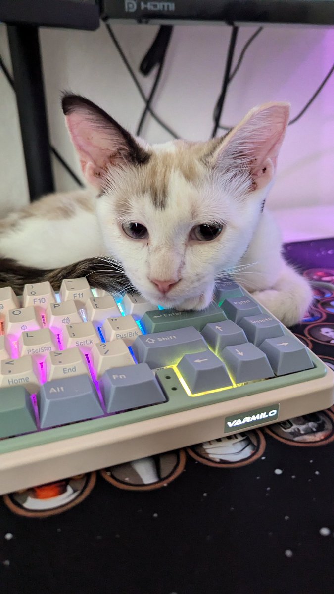 Crimson 3D tweet media