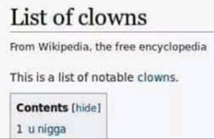 BahFucyou tweet media