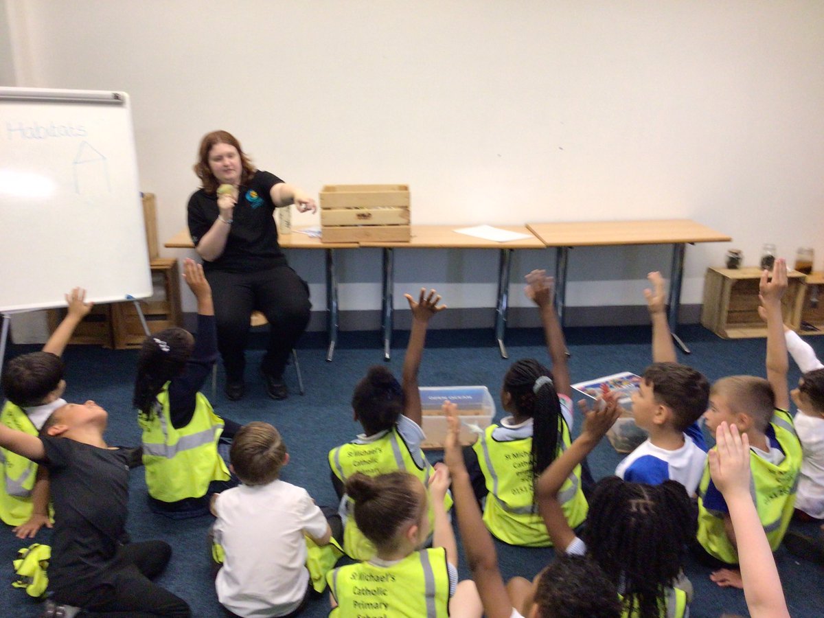 Stm_GW's tweet photo. Wow we enjoyed our habitats workshop today learning about which fish and sharks live in the cold open water oceans or the warm coral reef #stmScience https://t.co/n5uaYM0smh