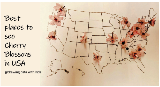 Some time back, as we marveled at the beauty of Cherry Blossoms in our backyard I came up with an idea to use Map to show the famous places to see cherry blossoms in US. I asked my kids to pick some cherry blossoms from our backyard and I went to the printer to grab the map.

We