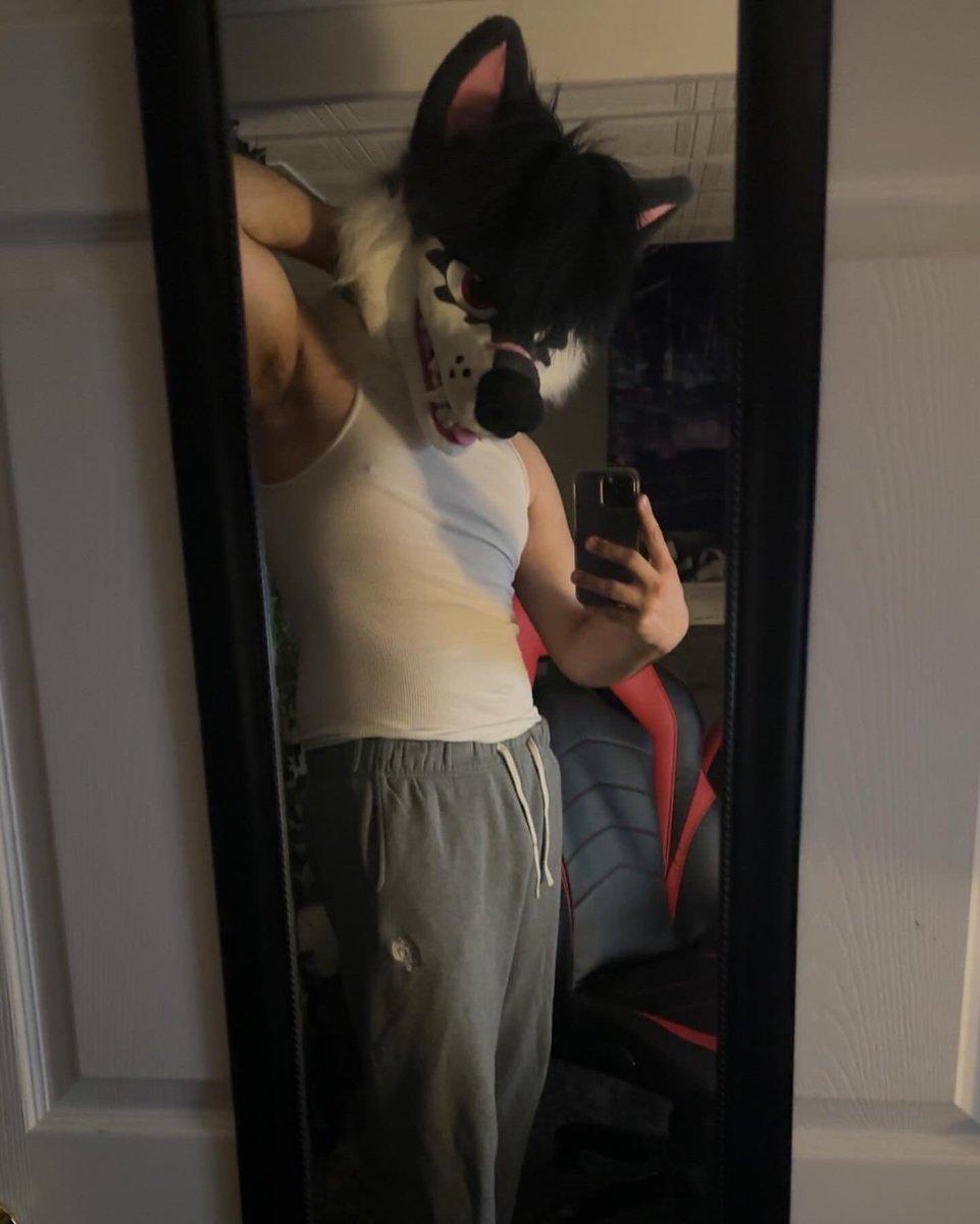 werekotaa's tweet photo. I’m a real werewolf and I’m coming for you https://t.co/LtssUxb5wo