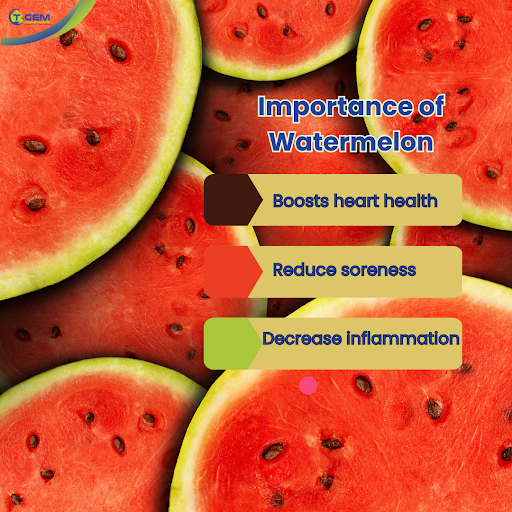 Tgemhc's tweet photo. Did you know Watermelon is rich in an amino acid called citrulline that may help move blood through your body and can lower your blood pressure . #fruits #appetizer #watermelon #importanceofwatermelon #tgemhealthcare https://t.co/ksqtWR3OUk
