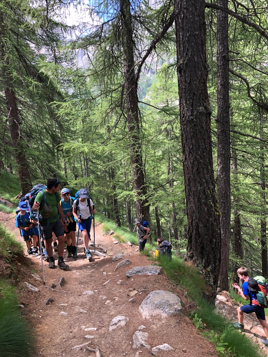 Giroparchi's tweet photo. #GiroparchiNatureTrail Day 3.

We walked up to the beautiful Rifugio Vittorio Emanuele II. We were very lucky and we got the chance to see a stoat and a bearded vulture! 🦅

After many activities and games we enjoyed a beautiful 🌄 sunset.

#GNT24 #Valsavarenche #natura #montagna https://t.co/P4PeFLA7r1