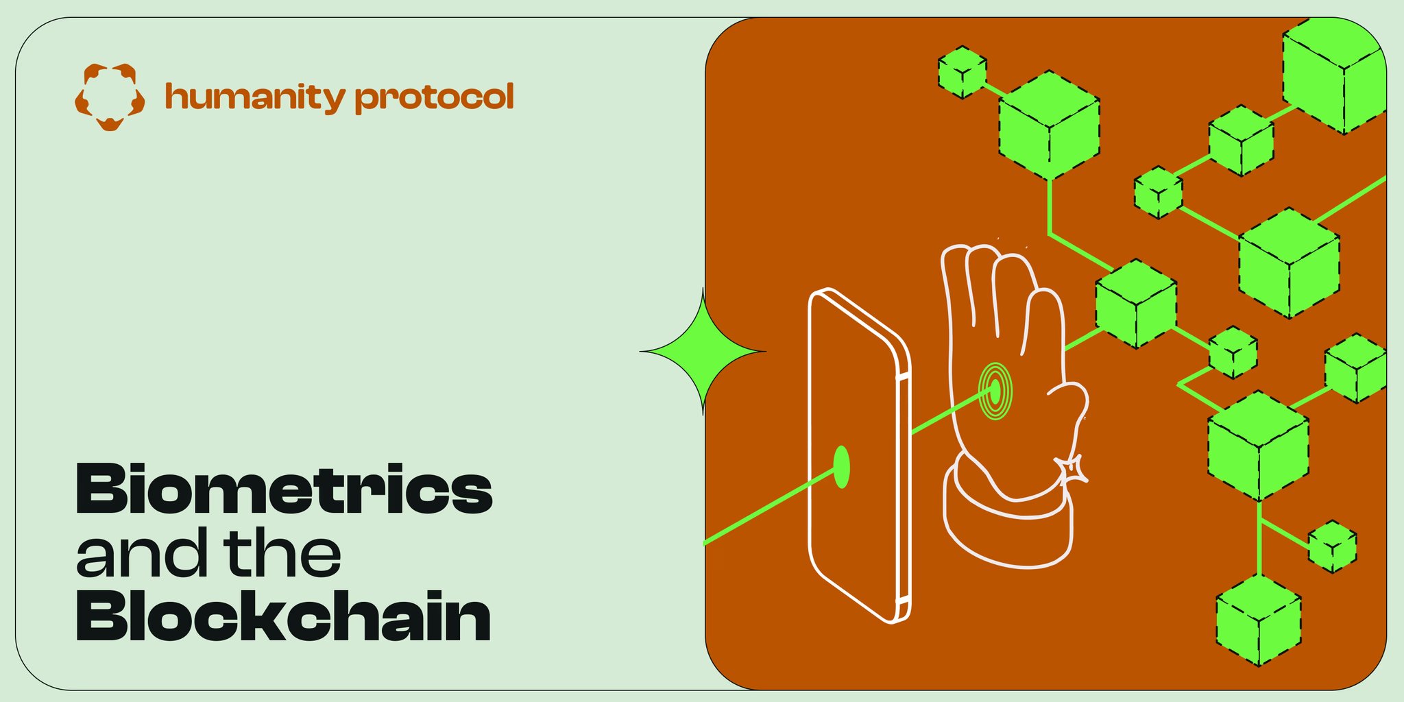 How Do Palm Scans Work on the Humanity Protocol?