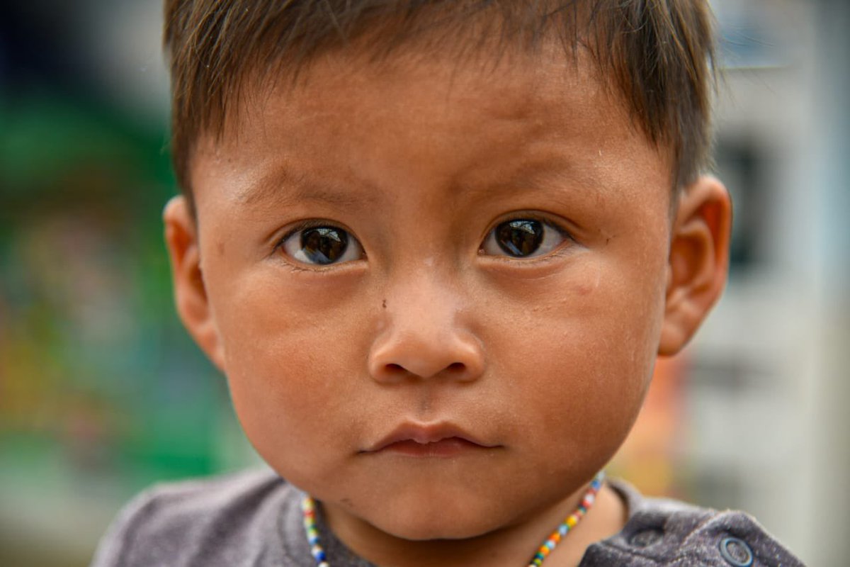 integracionbta's tweet photo. Las niñas y los niños de primera infancia reciben atención integral en espacios protectores y de calidad , como el Jardín Infantil La Pájara Pinta de la localidad de Engativá, que permiten el desarrollo de sus habilidades potencialidades.#DéjameSer https://t.co/ixlqGYLDoJ