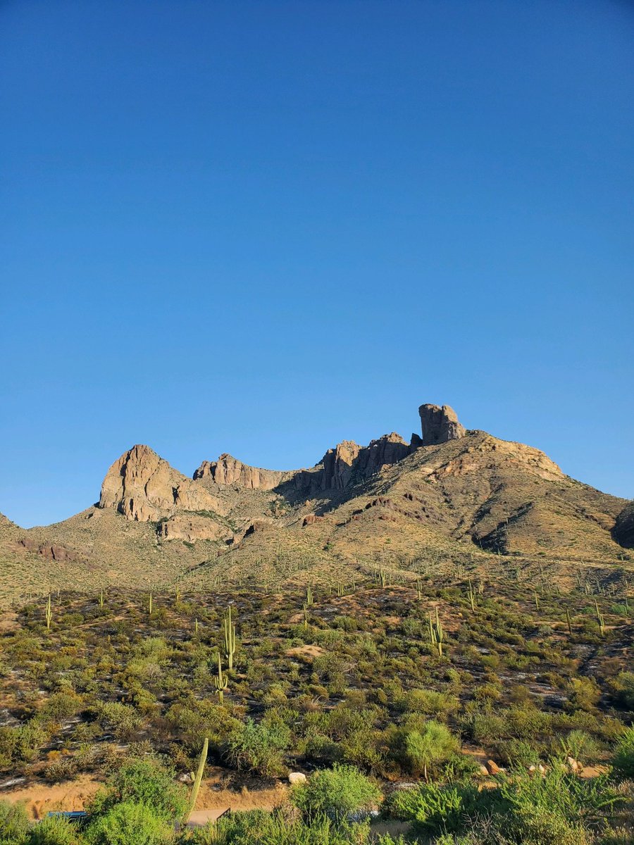 TontoForest's tweet image. #ButteFire Update:

Size: 117 acres
Forward progression of fire has stopped as fire crews continue suppression operations on #ButteFire. Current resources on scene: Four engines and Mr. Taylor Interagency Hotshot Crew.
Read more ⬇️