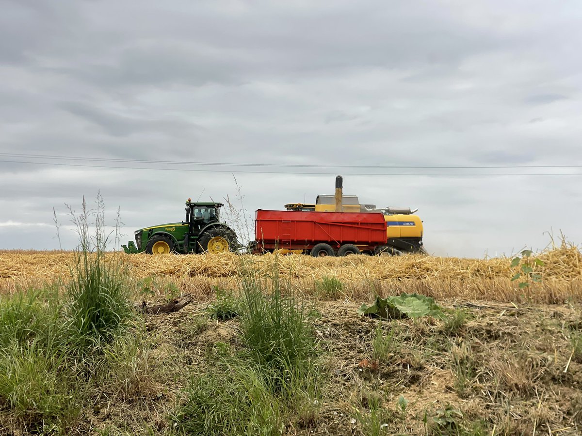 marcel Turbaux 🥖🚜🌾✍🏻📱💶 tweet media