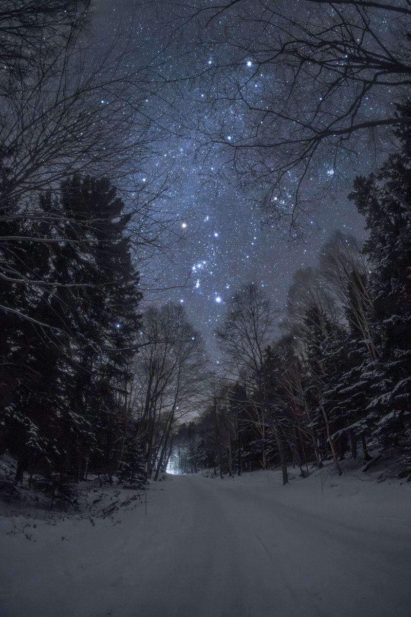 Winter nights in Scandinavia ✨