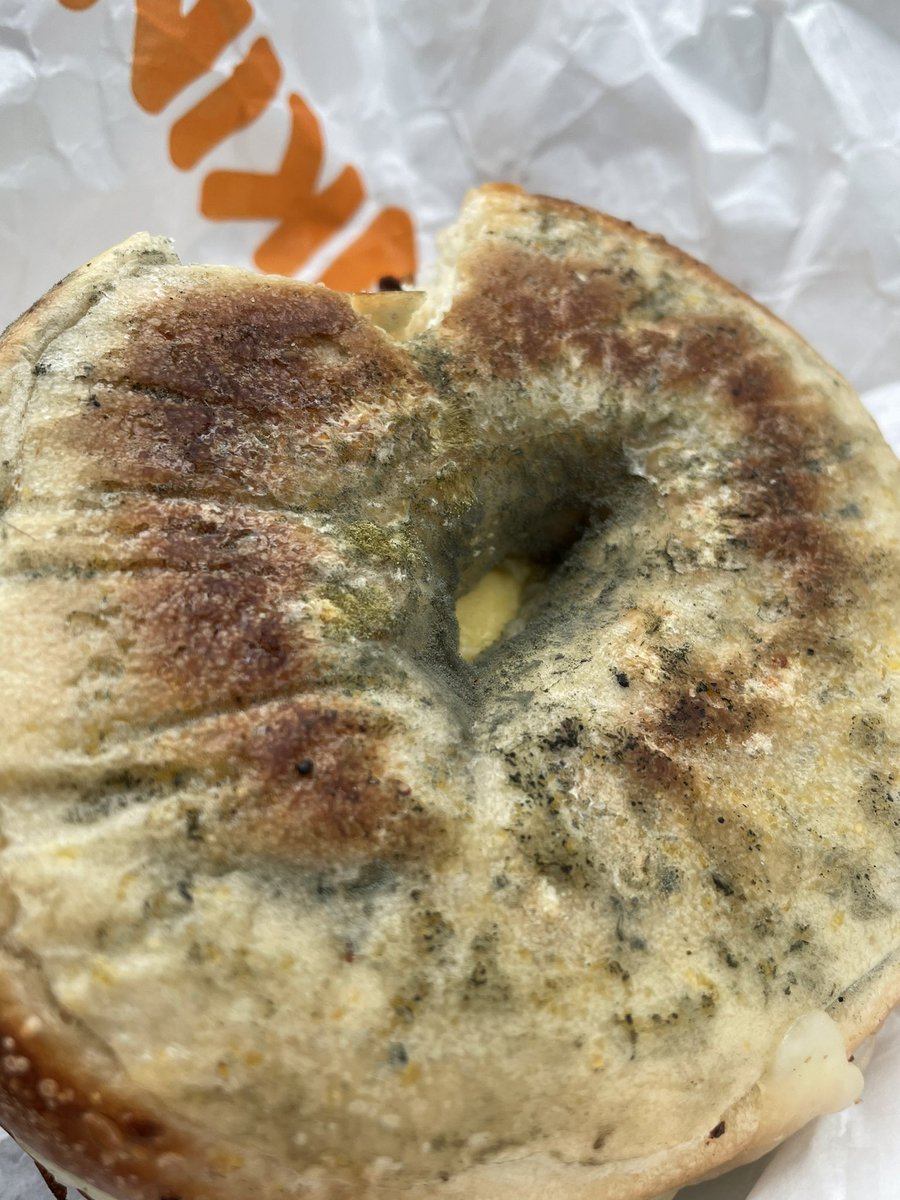 megmarieeeee's tweet photo. Took a bite of my Dunkin bagel before realizing the monstrosity of mold on the other side… I’m ill.

 @dunkindonuts how did anyone think this was okay to give someone https://t.co/f3PBT5DkDc