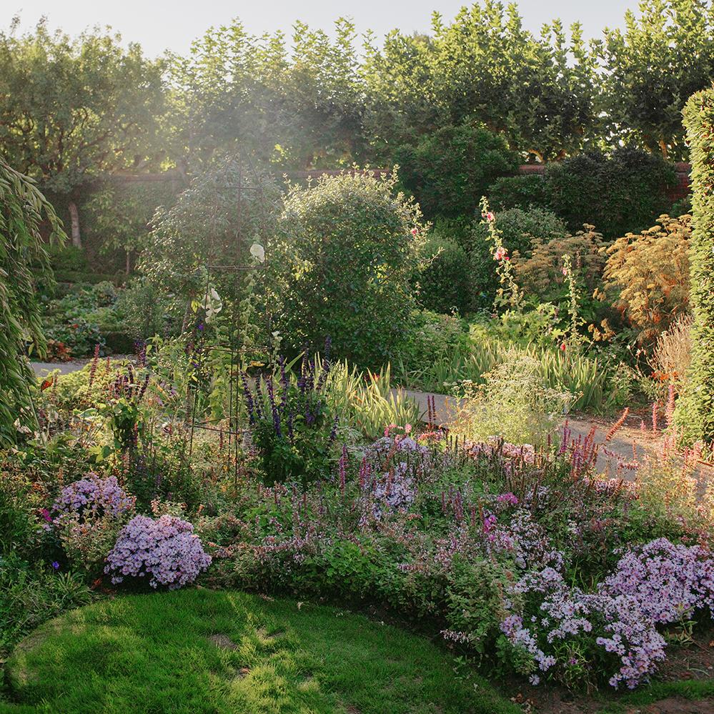 The Garden glows as the sun casts soft amber light on the pollinator beds in the Walled Garden. See the Filoli during this magical time of the day and get your tickets for Summer Nights now! Check out filoli.org/summer-nights for more info!

Photo by @love_knot_photography