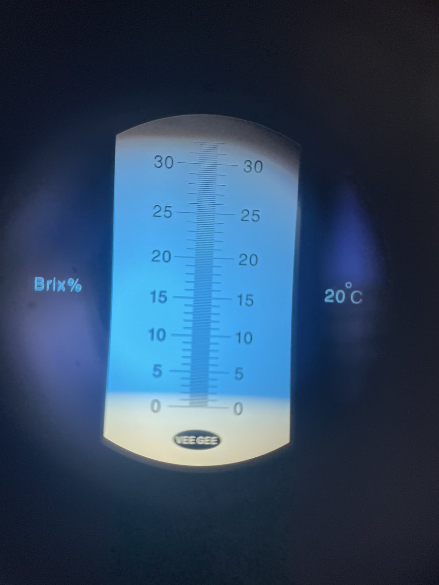 maskalteff's tweet photo. Doing some brix testing for sugar content on teff. We haven’t done a lot of work using brix testing with teff, but in general it can be a good guide to the health of the plant and how much fertility to use. This teff looks pretty healthy so it’s probably a normal value. https://t.co/MUg4wBNkYu