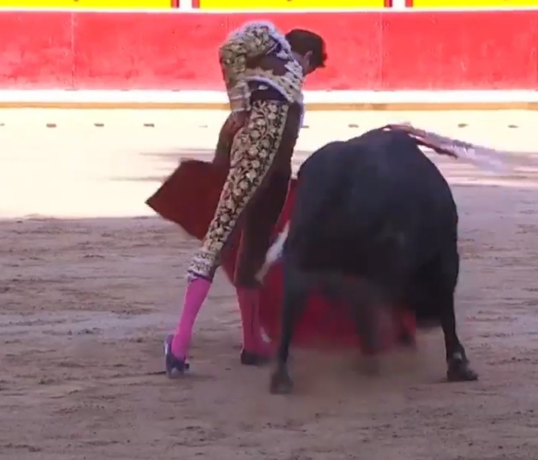 Seisyelsobrero's tweet photo. Vaya por delante que no me gusta la tosca tauromaquia de Roca Rey pero ¡ ojo! se ha  pasado el toro muy cerquita, toreando con la mano muy baja y ajustado. La disposición y entrega absoluta. https://t.co/iM0c4iHWod