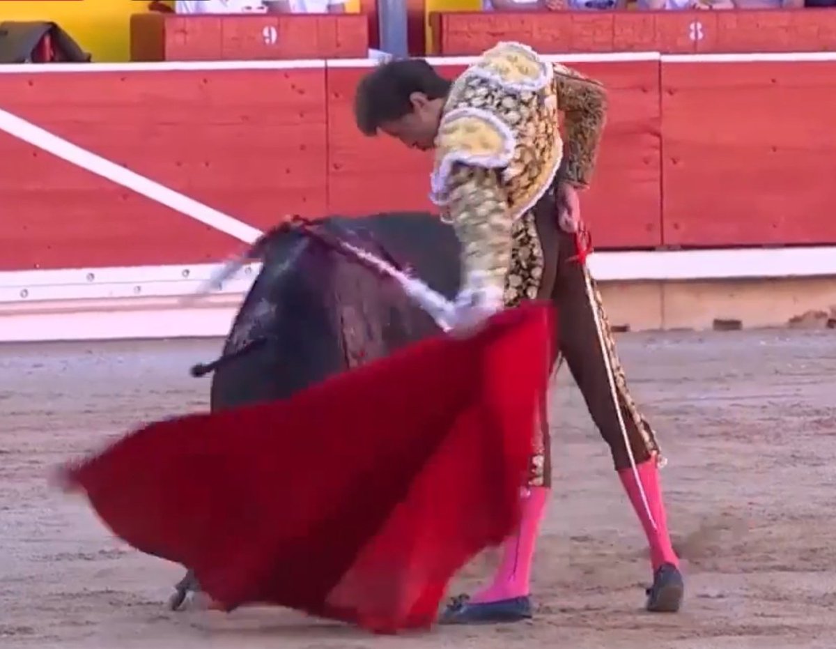 Vaya por delante que no me gusta la tosca tauromaquia de Roca Rey pero ¡ ojo! se ha  pasado el toro muy cerquita, toreando con la mano muy baja y ajustado. La disposición y entrega absoluta.