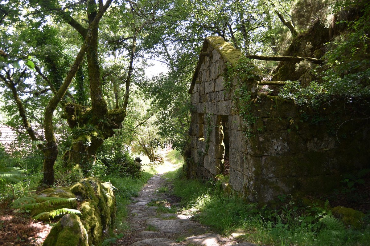 HelderHP's tweet photo. Village of Bridges
Castro Labor 🇵🇹 https://t.co/pbUOX7JdAa
