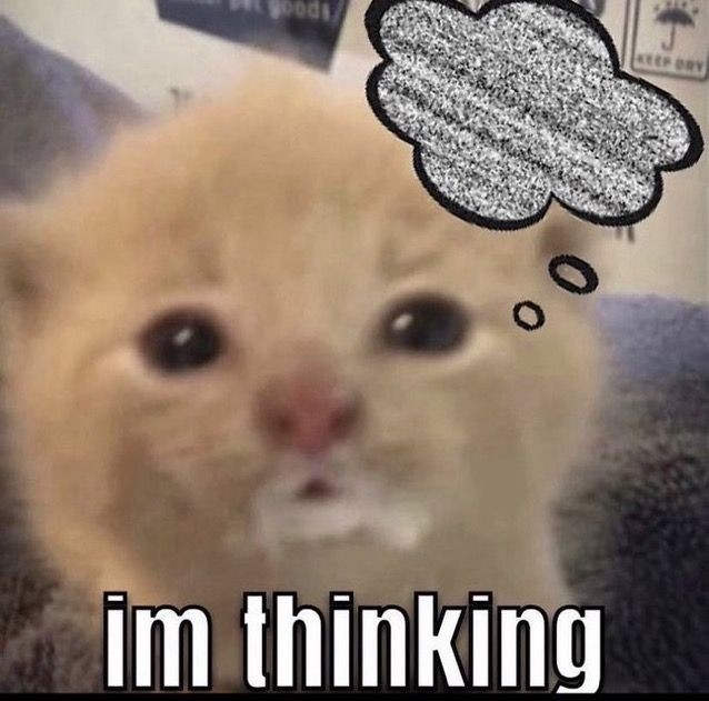 Catsillyness's tweet photo. im thinking https://t.co/ZHYZNODH4J