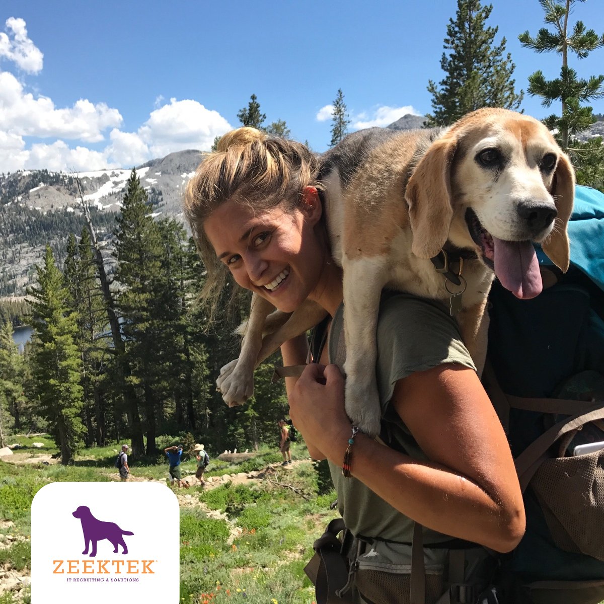 zeektek's tweet photo. Adventure awaits! Just like this duo conquers the great outdoors, you can conquer your job search. At Zeektek, we help you find the perfect IT job that matches your skills and passions. Don’t let the job hunt weigh you down—explore our openings and start your next adventure! https://t.co/9LDMH66zI0