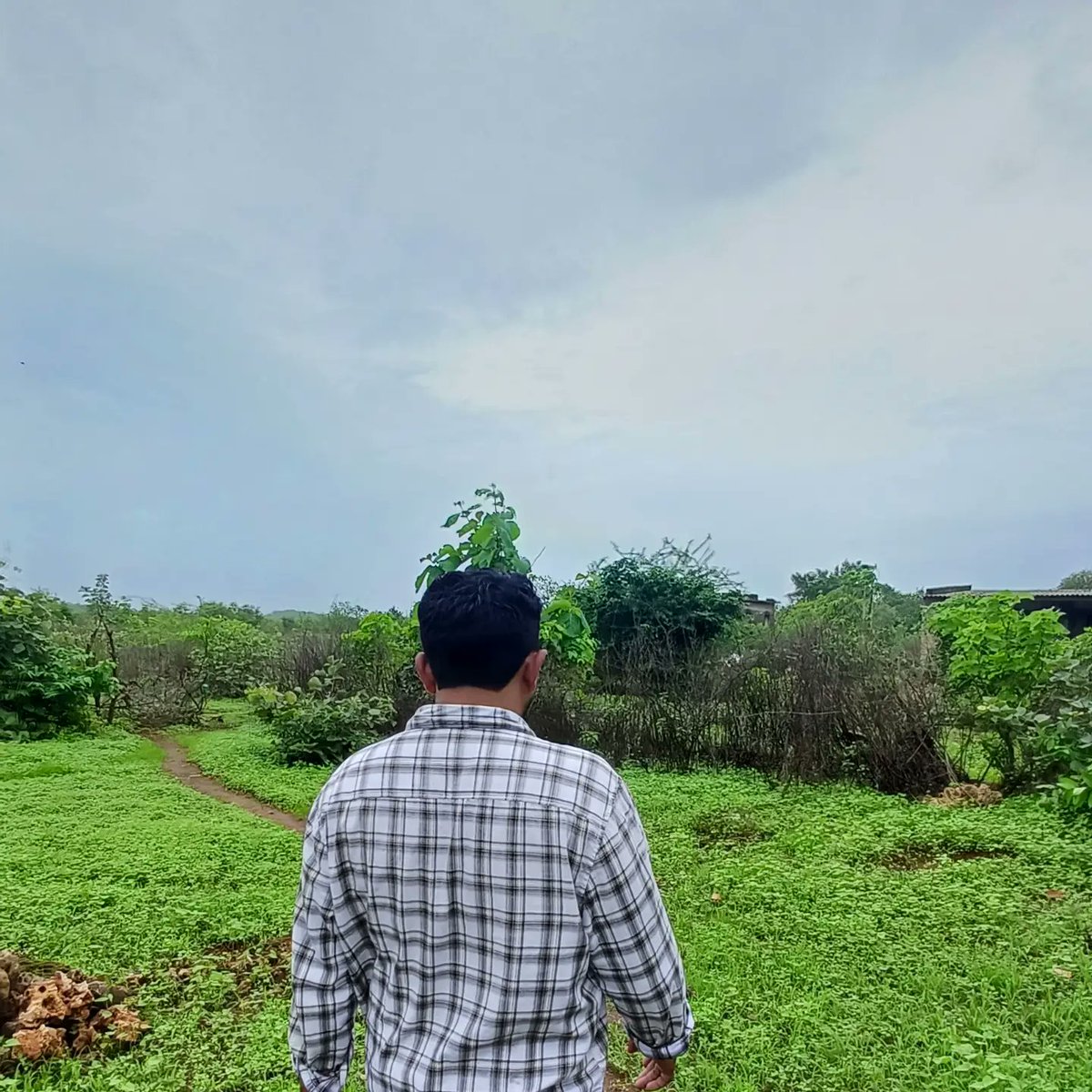 Unbounded08's tweet photo. किसी पीड़ित के अधरों के बीच थोड़ी सी हँसी फसा कर तो देखो,
उन्हे अबतक रुलाने वाले बहुत मिले होंगे, तुम उन्हे हंसाकर तो देखो।
आज मुफ्त प्लॉट आवंटन के सर्वे के दौरान खींची गई यह 2 तस्वीरें दिल के बहुत पास है

Read more in third picture
#talati #panchayat #girsomnath #jamvala જામવાળા https://t.co/DcK0HAZvy0