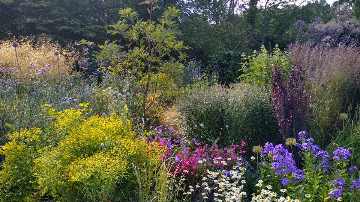 KrisClode's tweet photo. So So excited to have won another Landscape &amp; Gardens Award this year at the 2024 @SussexHeritage  Trust Awards @LancingCollege Chapel. Fantastic celebration of talented building crafts people, builders, architects and designers in #sussex. https://t.co/vs5kIeWmUk https://t.co/FCckB0YGR2