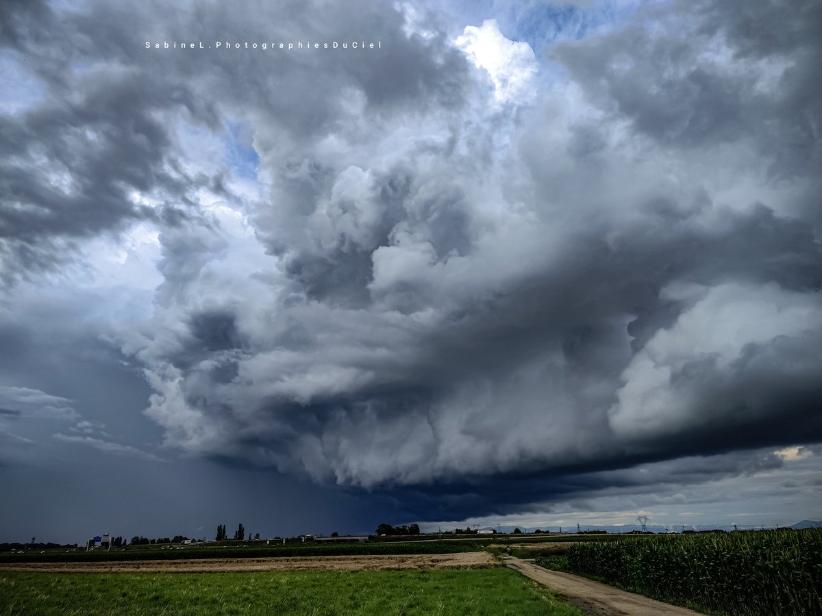 SabineL67's tweet photo. Averse orageuse secteur #Offendorf !! ⛈️
📷#Geispolsheim (67)

#Alsace #BasRhin #Météo #Météo67 #orage https://t.co/1bFjD2BxBQ