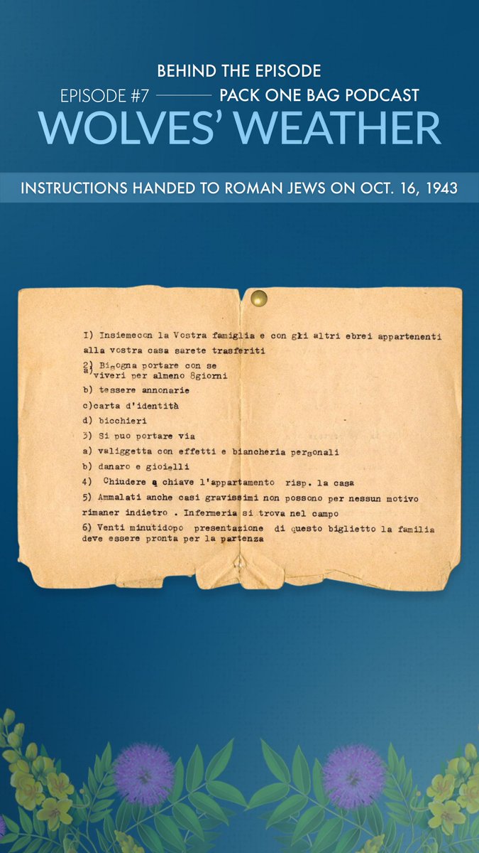 PackOneBag tweet media