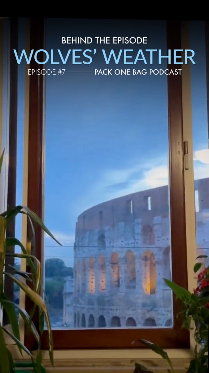 PackOneBag tweet media