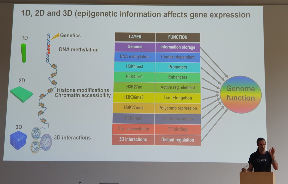 So amazing to have Iñaki Martín-Subero as keynote speaker at our annual @LMU_HaemOnk scientific retreat! Inspiring as a researcher, inspiring as a person! Thank you Iñaki 🙏
@LMU_Uniklinikum 
#epigenetics