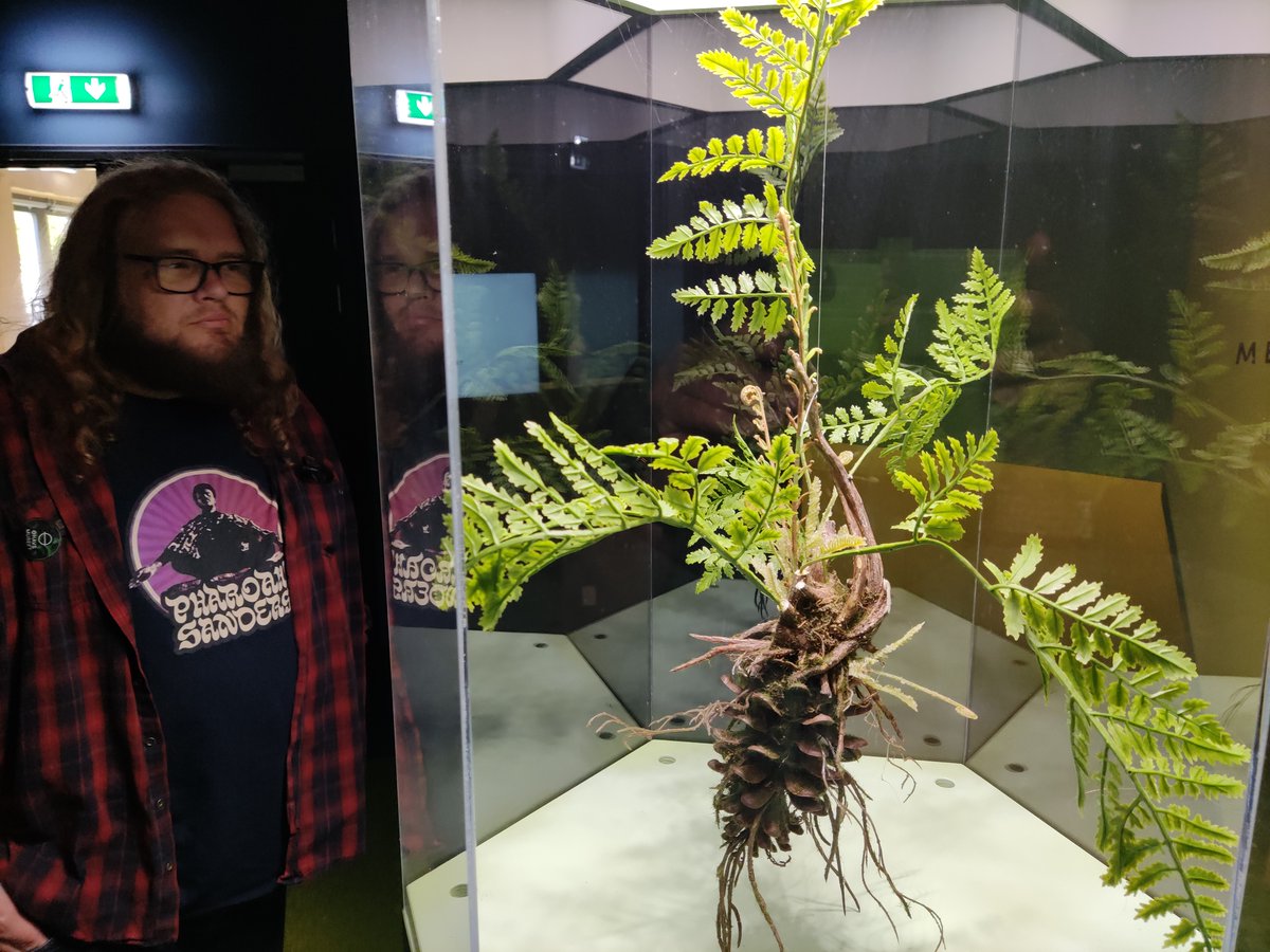 Digging a fern.
